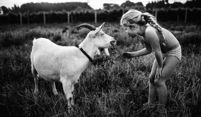 Cette maman photographe capture l'enfance de ses enfants loin de tout appareil électronique moderne | #15