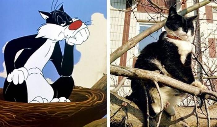 14 animaux qui sont les copies conformes de nos personnages de dessins animés préférés | #9