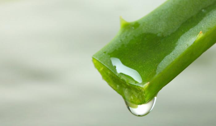 10 recettes beauté express à base d'aloe vera | #11