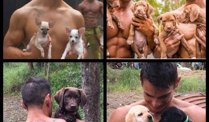 Des pompiers sexy posent avec des chiots dans un calendrier caritatif pour les aider à trouver une famille | #6