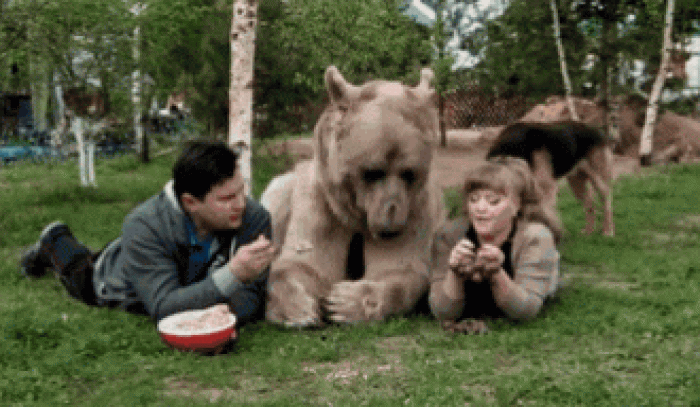 Un couple russe a adopté un ours orphelin il y a 23 ans, et ils vivent toujours tous ensemble ! | #4