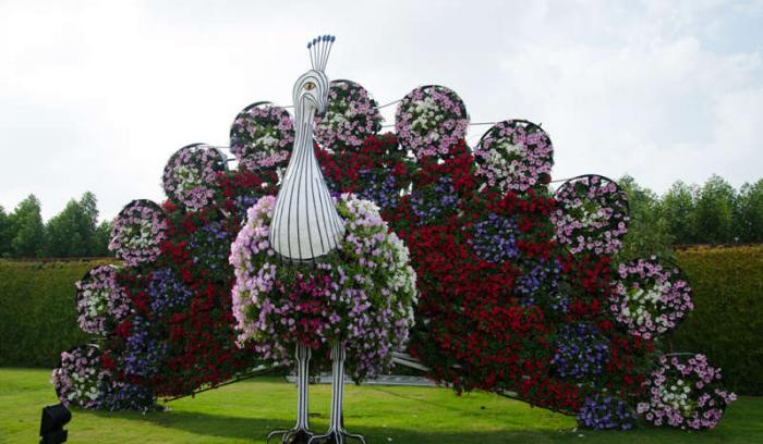 Découvrez le Dubaï Miracle Garden, le plus grand jardin de fleurs du monde ! | #8