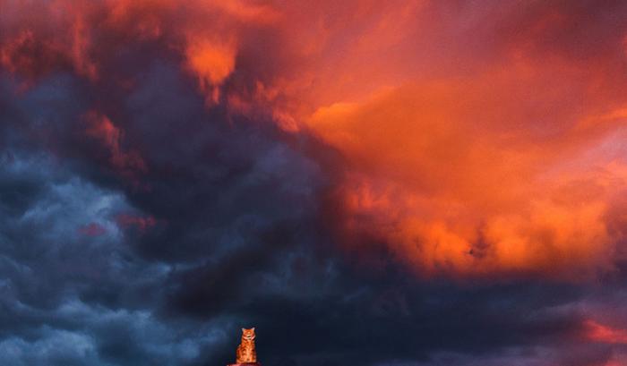 Découvrez Ginger, le chat roux tellement magnifique qu'il a son photographe personnel | #16