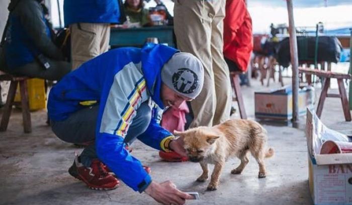 Un petit chien errant rejoint ce marathonien, court 100km avec lui et finit la course avec son nouveau maître ! | #3