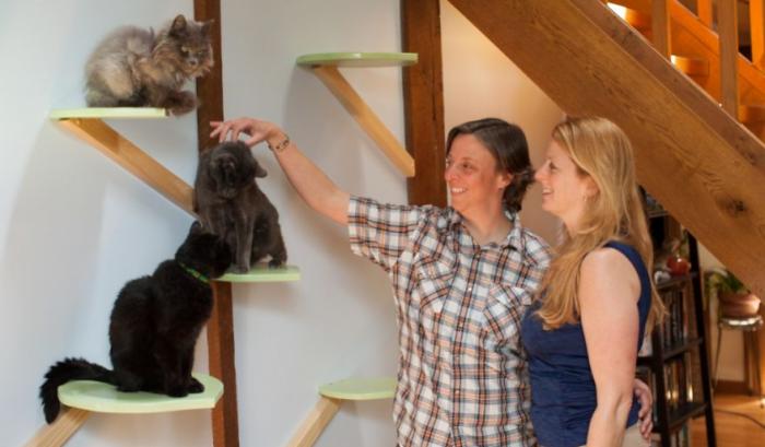Il transforme une maison pour faire le bonheur de 7 chats | #4