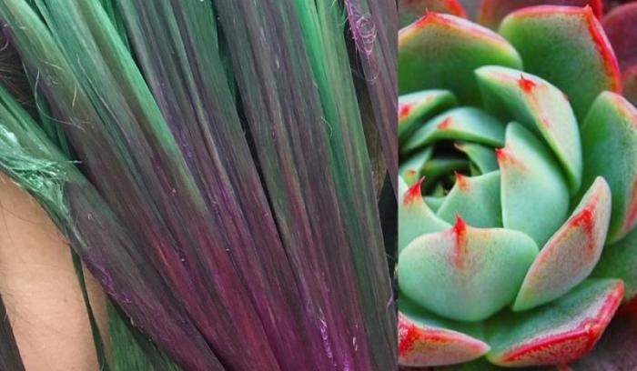 La dernière tendance coloration : les cheveux colorés façon succulentes