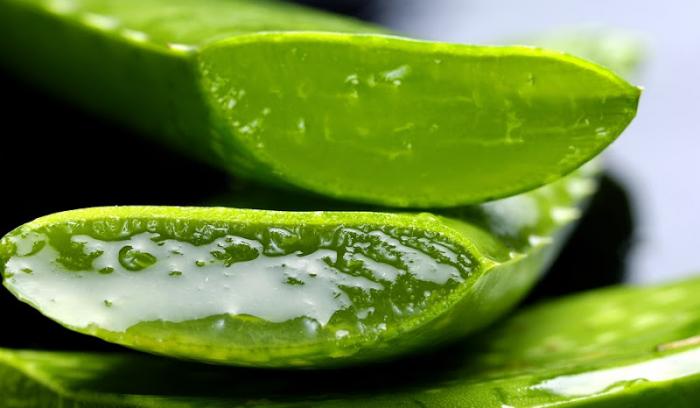 10 recettes beauté express à base d'aloe vera | #8