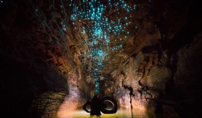 Des centaines de vers luisants transforment cette grotte néo-zélandaise en magnifique nuit étoilée | #3