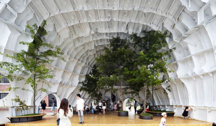Ils transforment un morceau d'avion rouillé en un magnifique bâtiment rempli d'arbres et de plantes | #2
