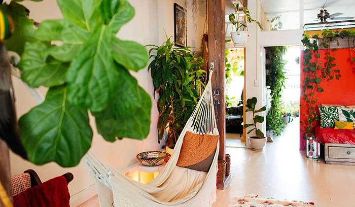 Cette jeune femme a planté plus de 500 plantes dans son appartement new-yorkais et l'a transformé en vrai jungle d'intérieur | #9