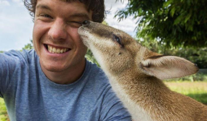 L'homme qui prenait des selfies géniaux avec des animaux | #13