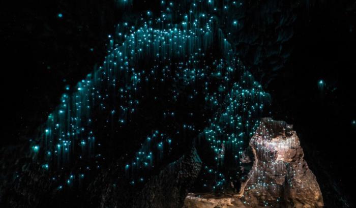 Des centaines de vers luisants transforment cette grotte néo-zélandaise en magnifique nuit étoilée | #2