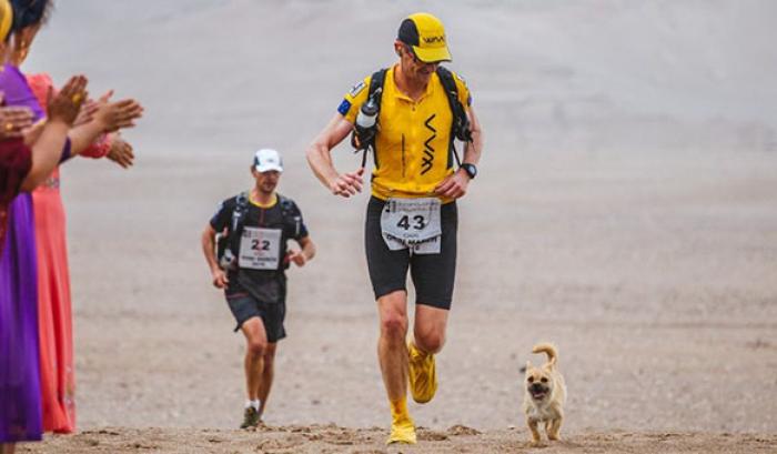 Un petit chien errant rejoint ce marathonien, court 100km avec lui et finit la course avec son nouveau maître ! | #5