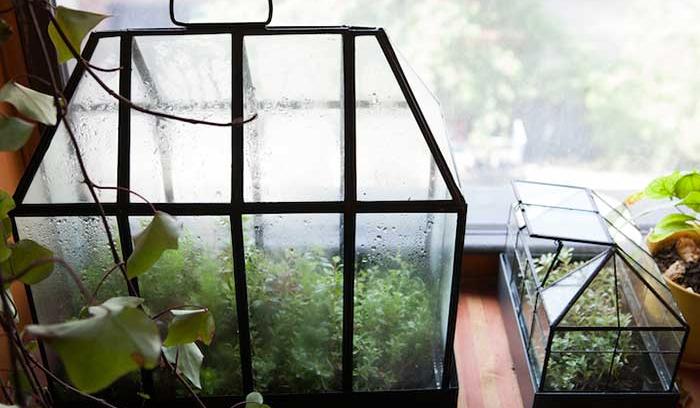 Cette jeune femme a planté plus de 500 plantes dans son appartement new-yorkais et l'a transformé en vrai jungle d'intérieur | #16