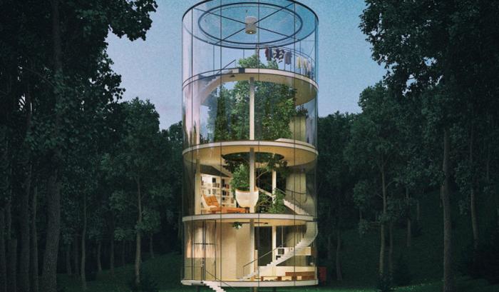 Une incroyable maison de verre cylindrique construite autour d'un arbre | #8