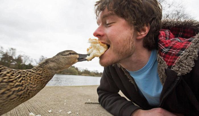 L'homme qui prenait des selfies géniaux avec des animaux | #6