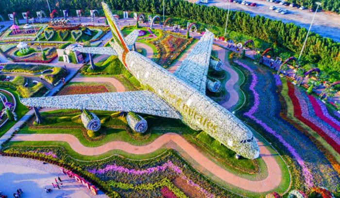 Découvrez le Dubaï Miracle Garden, le plus grand jardin de fleurs du monde ! | #2
