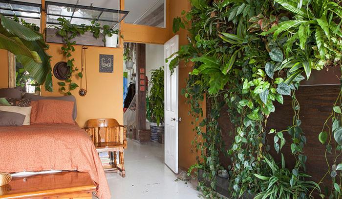 Cette jeune femme a planté plus de 500 plantes dans son appartement new-yorkais et l'a transformé en vrai jungle d'intérieur | #13