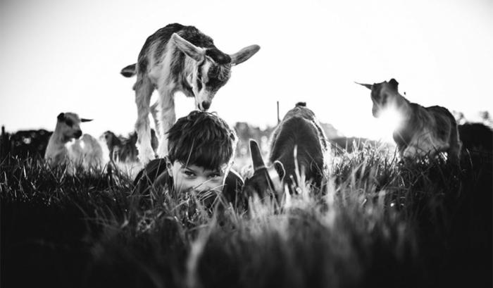 Cette maman photographe capture l'enfance de ses enfants loin de tout appareil électronique moderne | #10
