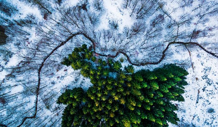 Les 15 plus belles photos prises depuis un drone | #4