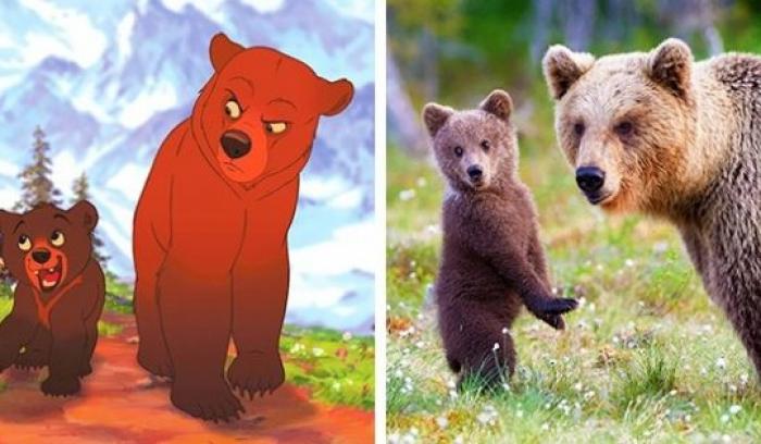 14 animaux qui sont les copies conformes de nos personnages de dessins animés préférés | #5