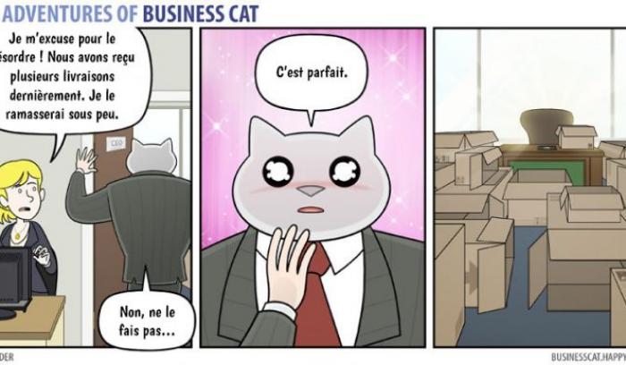 Voilà à quoi ressemblerait votre patron s’il était un chat (petit indice : c'est très drôle !) | #2
