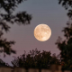 Pleine lune en Verseau du 9 août 2025 : ces 5 sign...