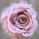Ces coiffures tressées en forme de rose sont plus...