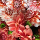 Horoscope du dimanche 26 octobre 2025 : voici ce q...