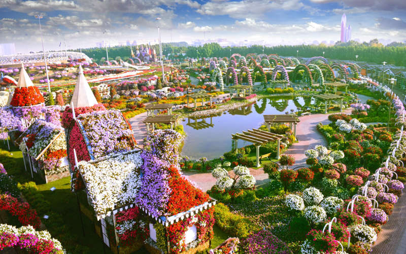 Découvrez le Dubaï Miracle Garden, le plus grand jardin de fleurs du