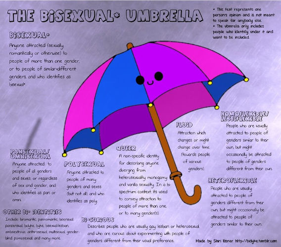 the-bisexuel-umbrella-3