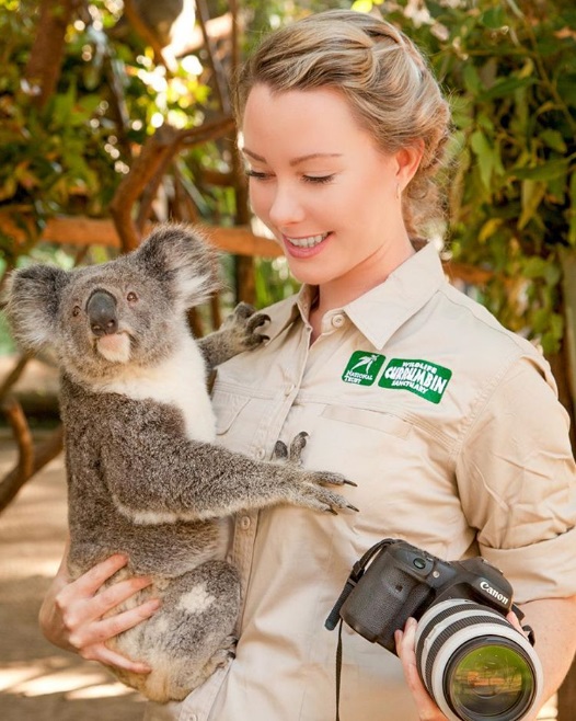 koala-mignon-photo-7