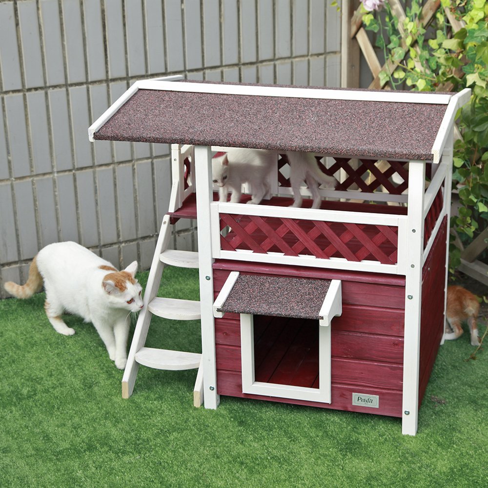 maison-chat-exterieure-arbre-a-chat-pas-cher-2