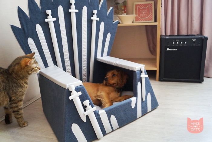 panier-chat-chien-game-of-thrones-2