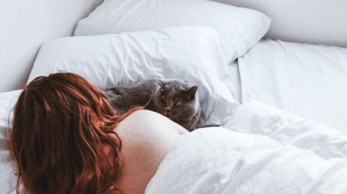 dormir-avec-son-chat