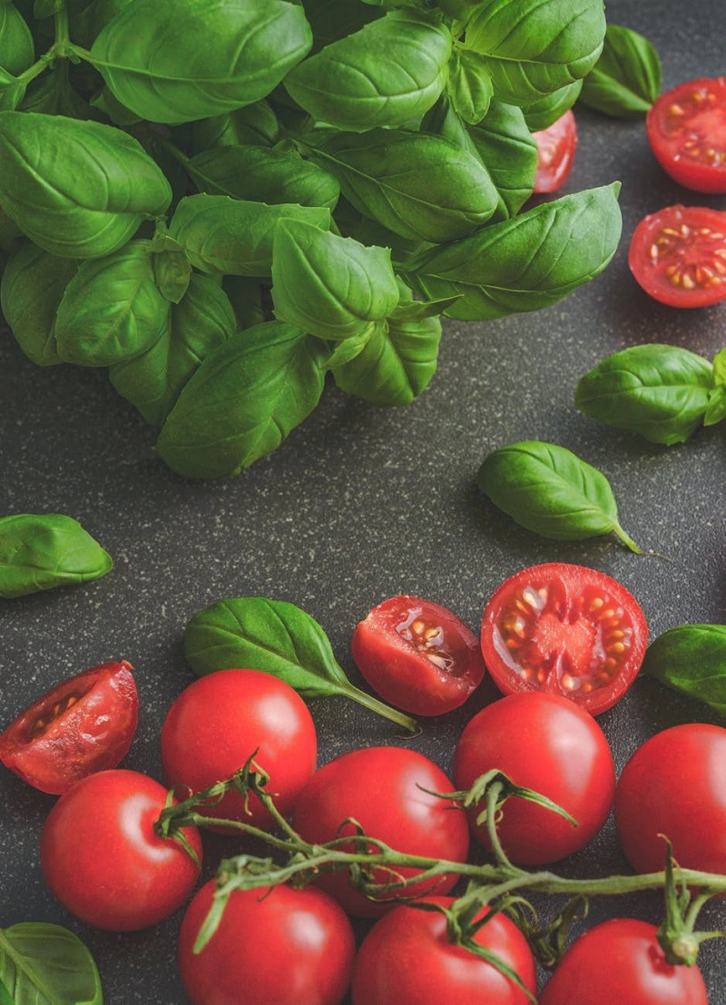 tomates-grappes-basilic