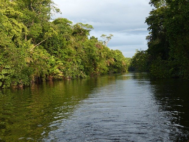 riviere-tropicale-costa-rica