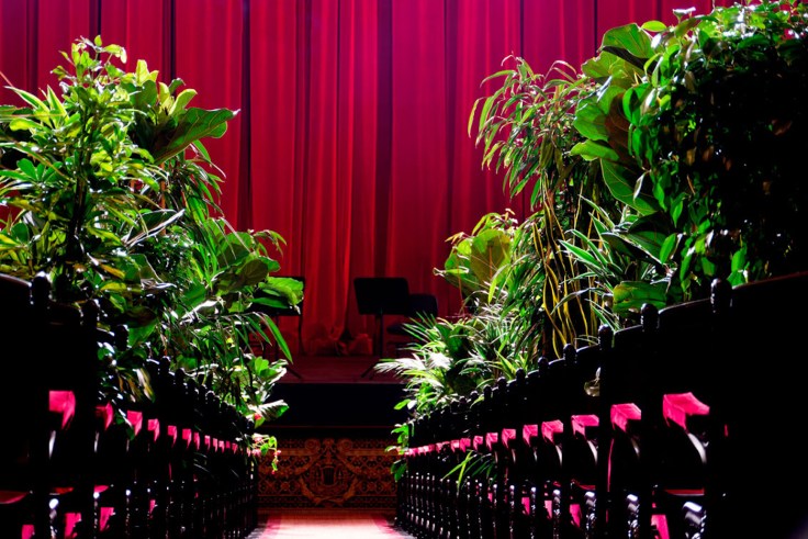 concert-opera-barcelone-devant-des-plantes-3