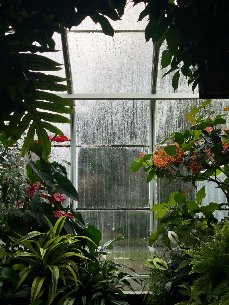 pluie-veranda