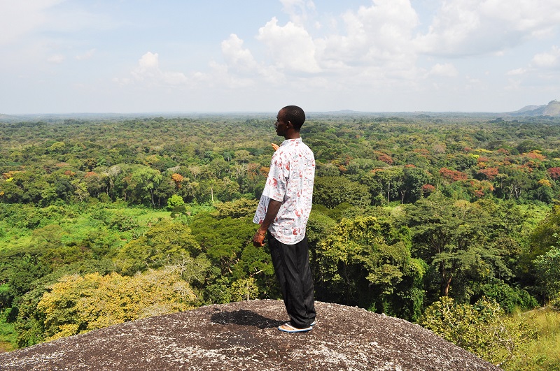 Cameroun - Un des premiers pays où Treedom a commencé son travail. À ce jour, Treedom a planté plus de 1 400 000 nouveaux arbres.