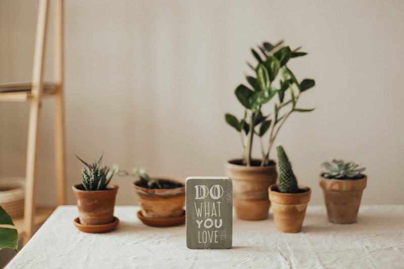 do-what-you-love-mug-plantes