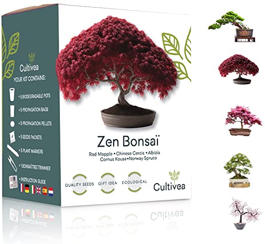 kit-miniatures-bonsai