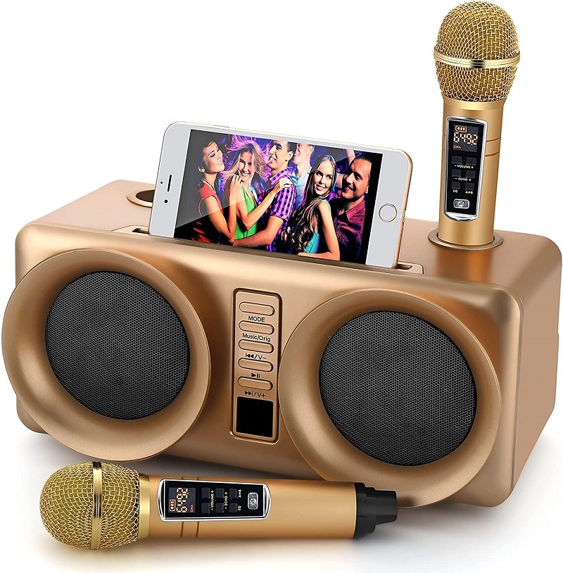 kit-karaoke-2-micros-pas-cher