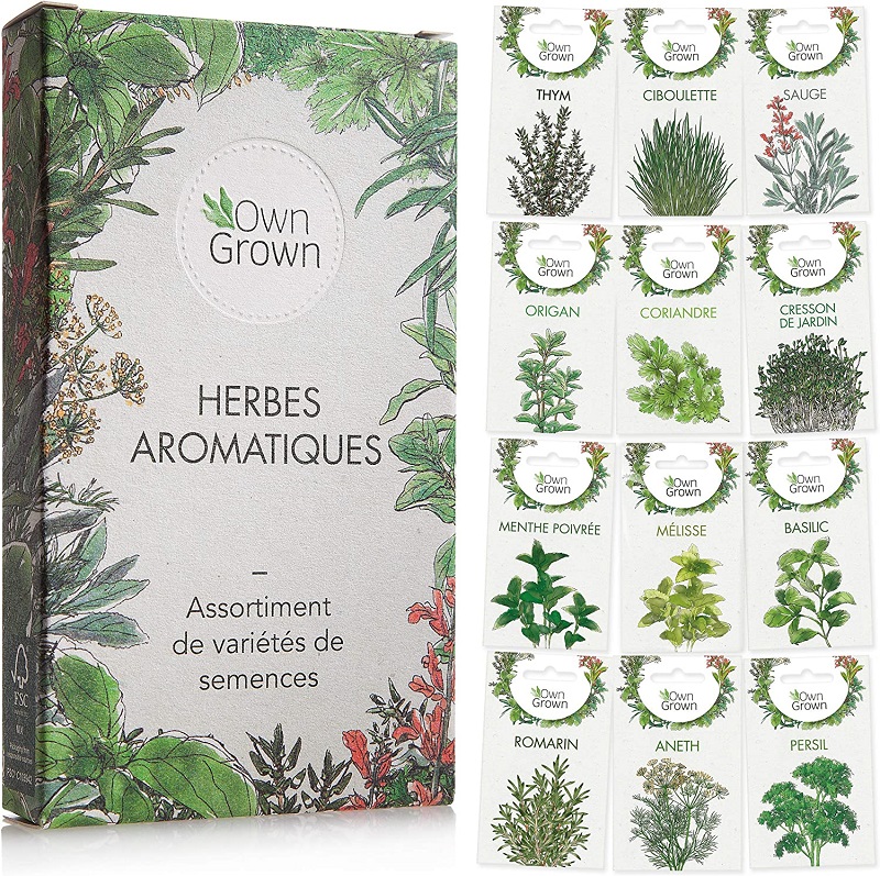 graines-herbes-aromatiques