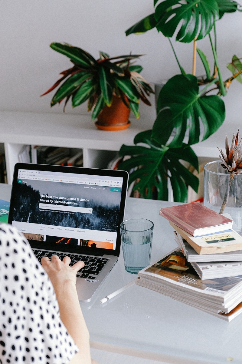 bureau-plante-verte-livres