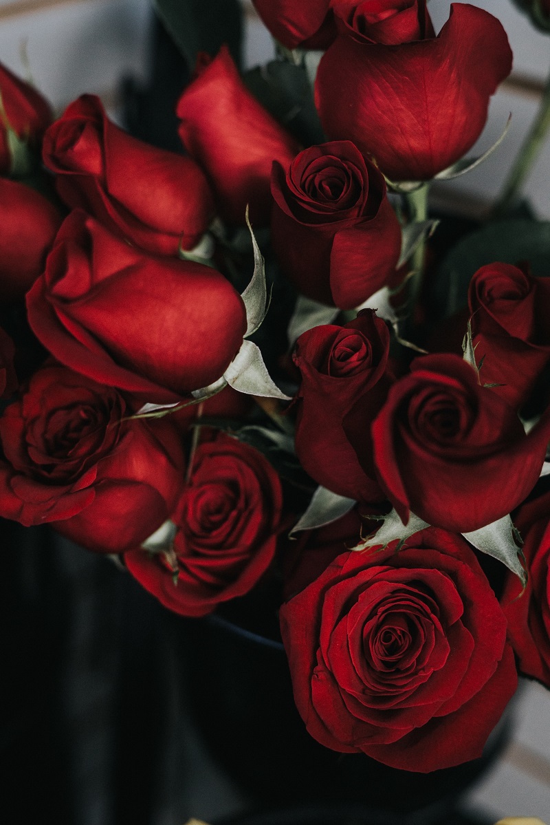 bouquet-roses-rouges