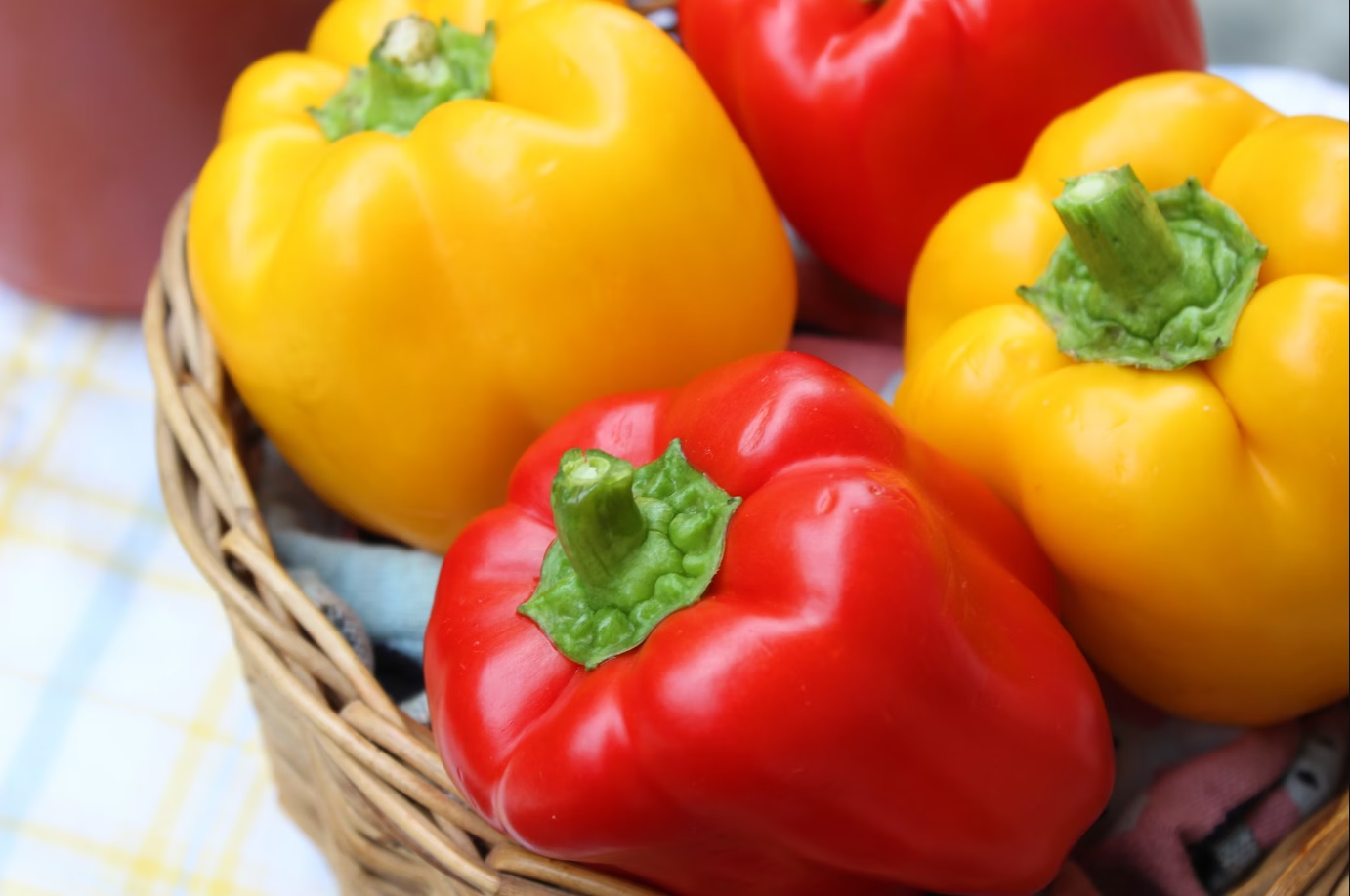 Quelle est la différence entre les couleurs de poivron ?
