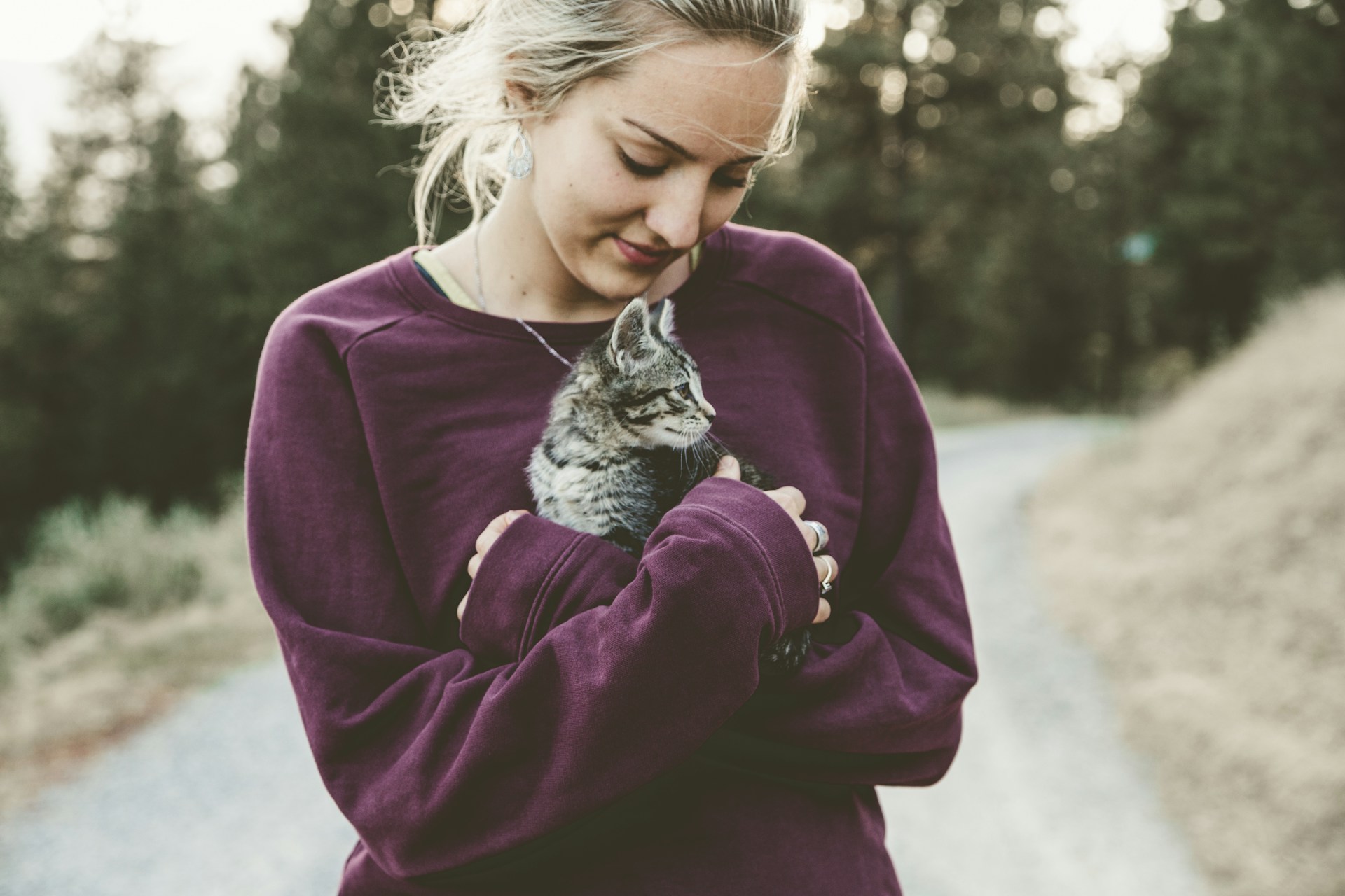 Pourquoi mon chat se colle contre moi la nuit ?