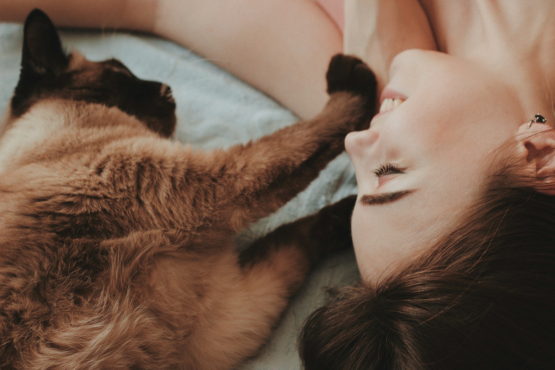 Considérer son chat comme un membre de la famille : une pratique très courante.