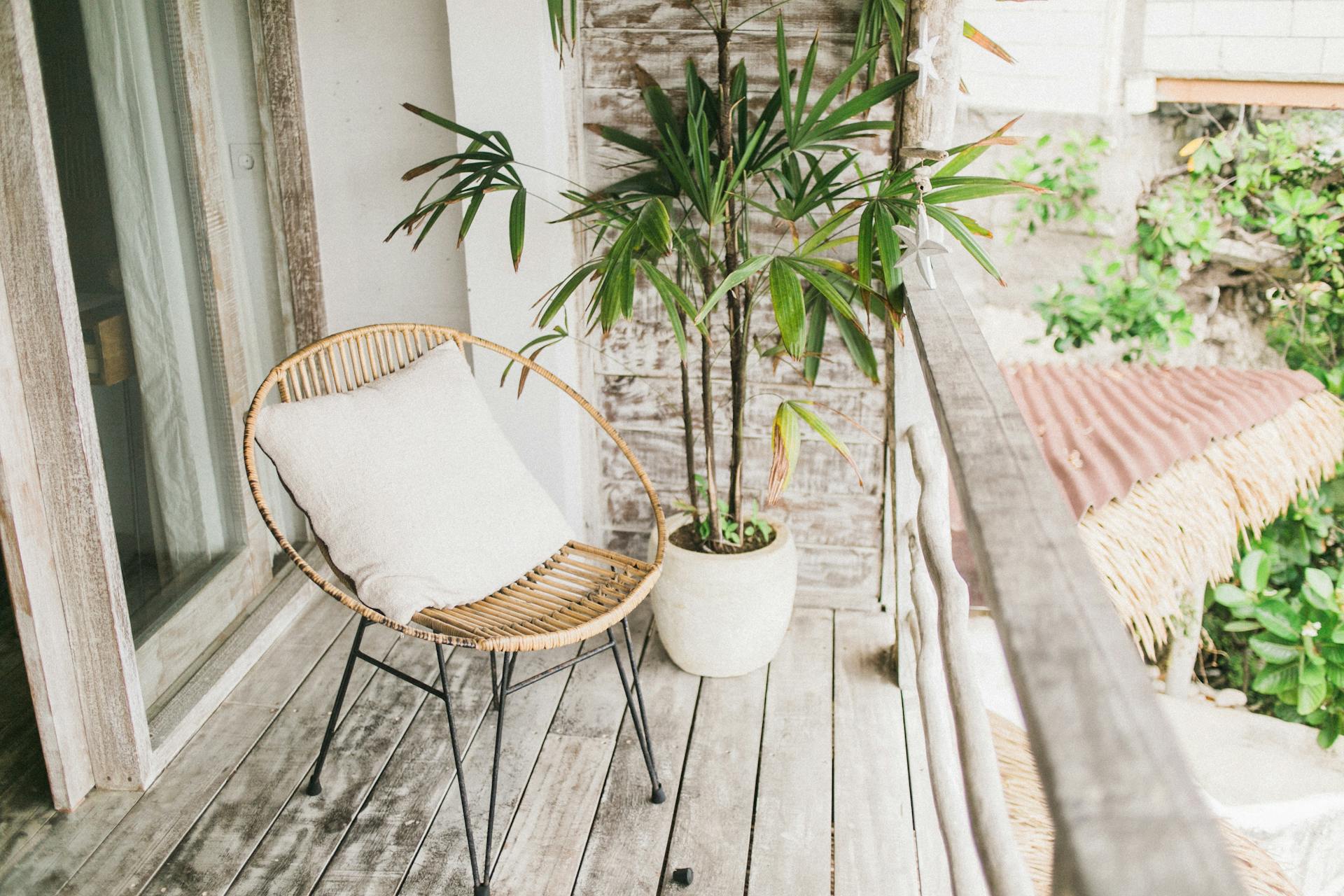 Quelles plantes mettre sur un balcon à l'ombre ?